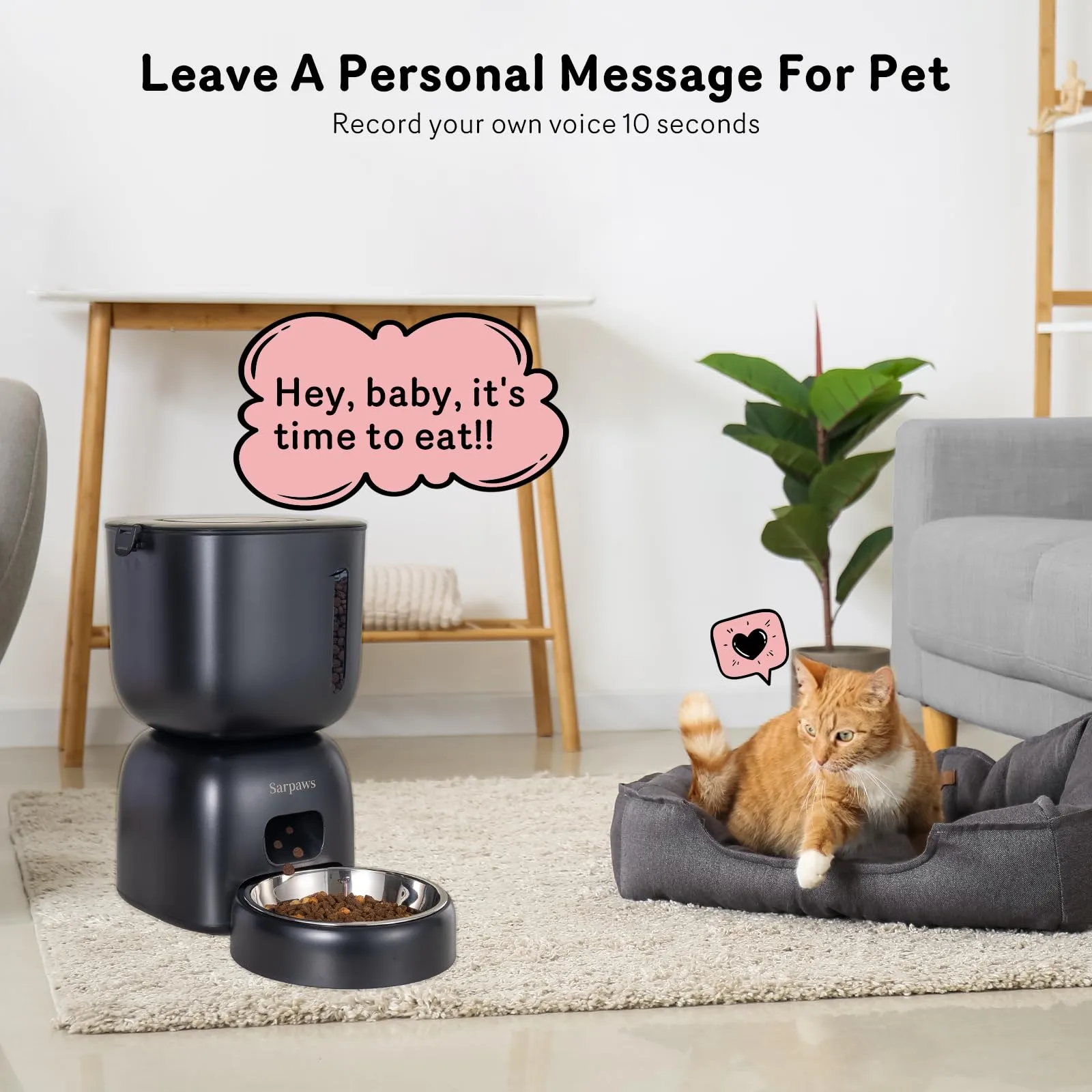 Automatic Cat Feeder and Cat Water Dispenser FW1, Wire or Battery Cat Food Dispenser Timer Pet Feeder - Locking Lid, Desiccant Bag, Programmable Portion Control, 4 Daily Meals, 10s Voice Recorder