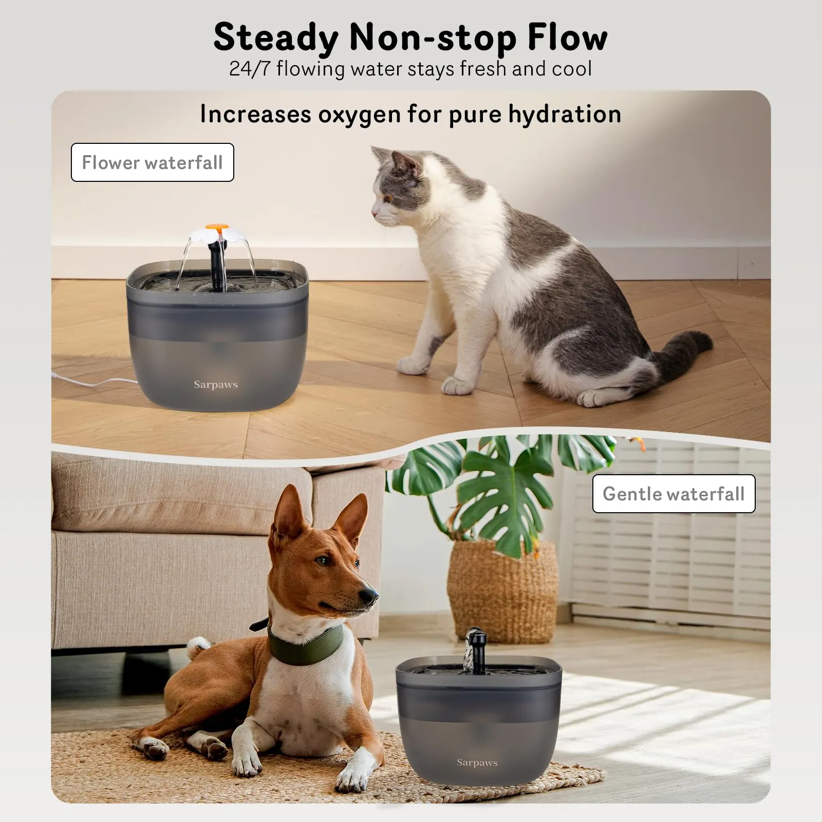 Automatic Cat Feeder and Cat Water Dispenser FW1, Wire or Battery Cat Food Dispenser Timer Pet Feeder - Locking Lid, Desiccant Bag, Programmable Portion Control, 4 Daily Meals, 10s Voice Recorder