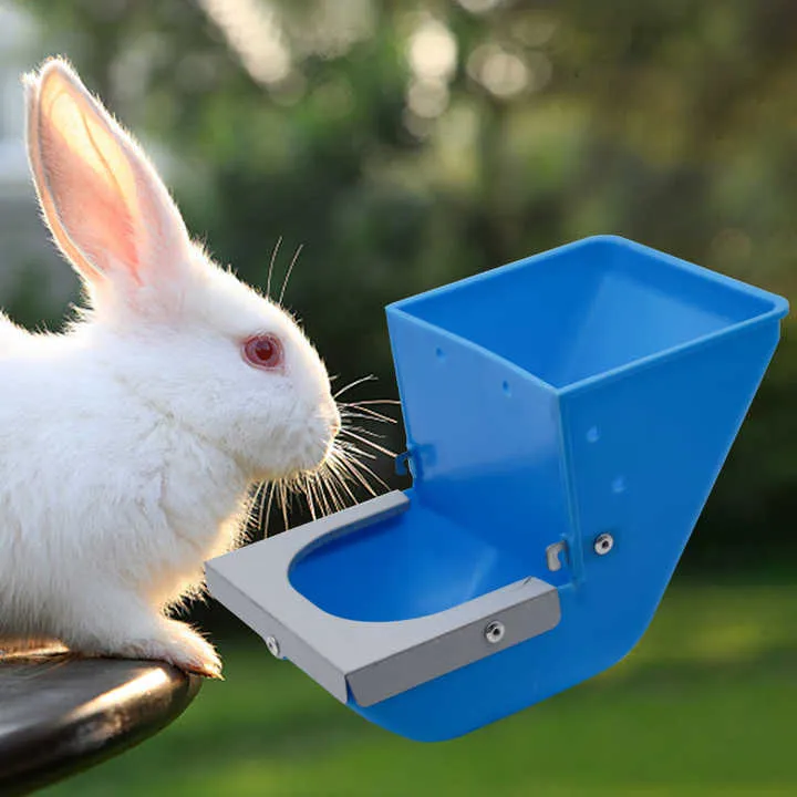 Automatic Plastic Steel Hanging Rabbit Cage Bowl Food. وعاء تغذية طعام أوتوماتيكي من البلاستيك والفولاذ لقفص الأرانب