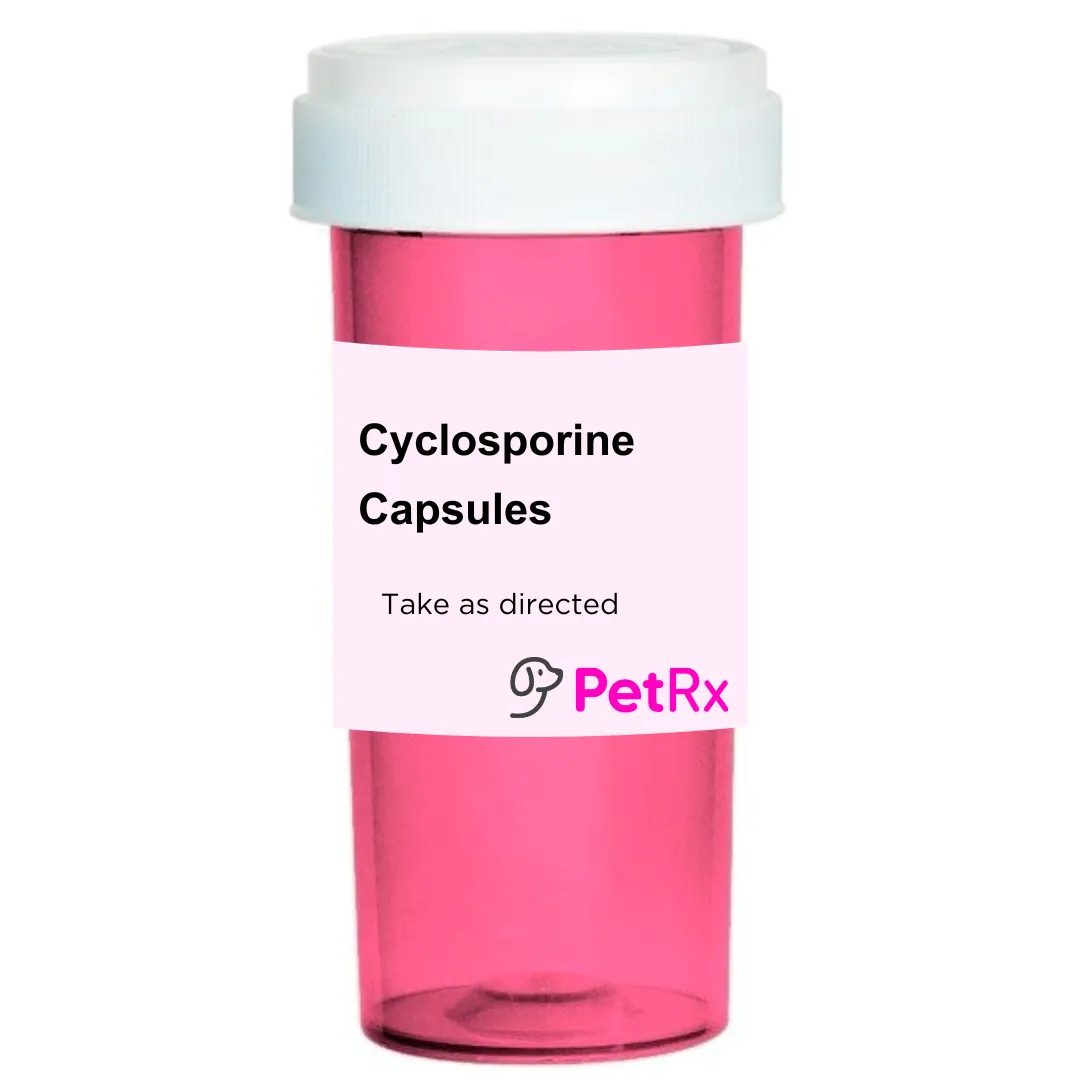 Cyclosporine Capsules