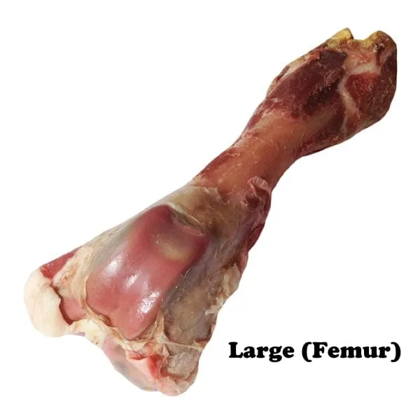 Dogit Charcuterie Prosciutto Bone for Dogs