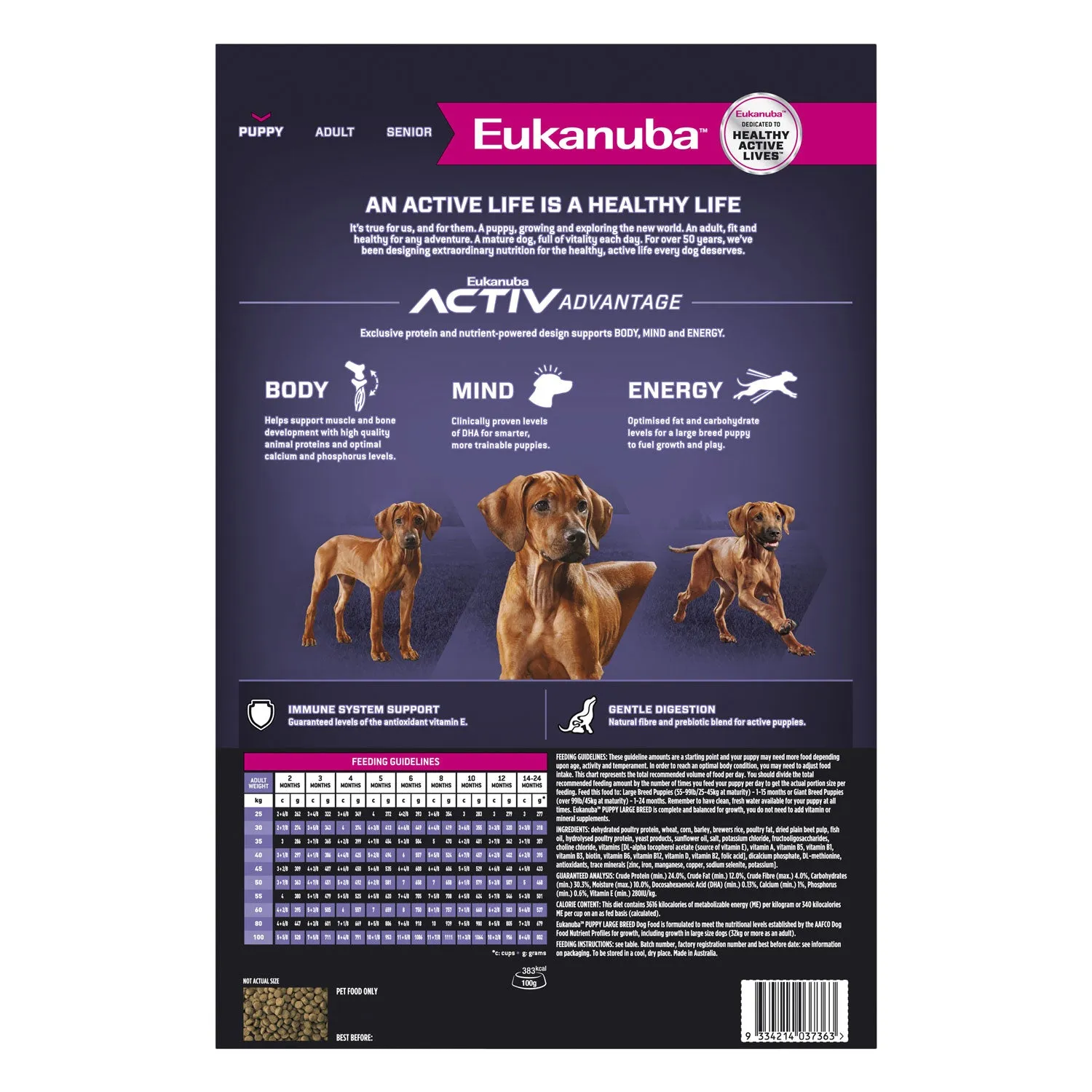 Eukanuba Large Breed Puppy Dry Dog Food