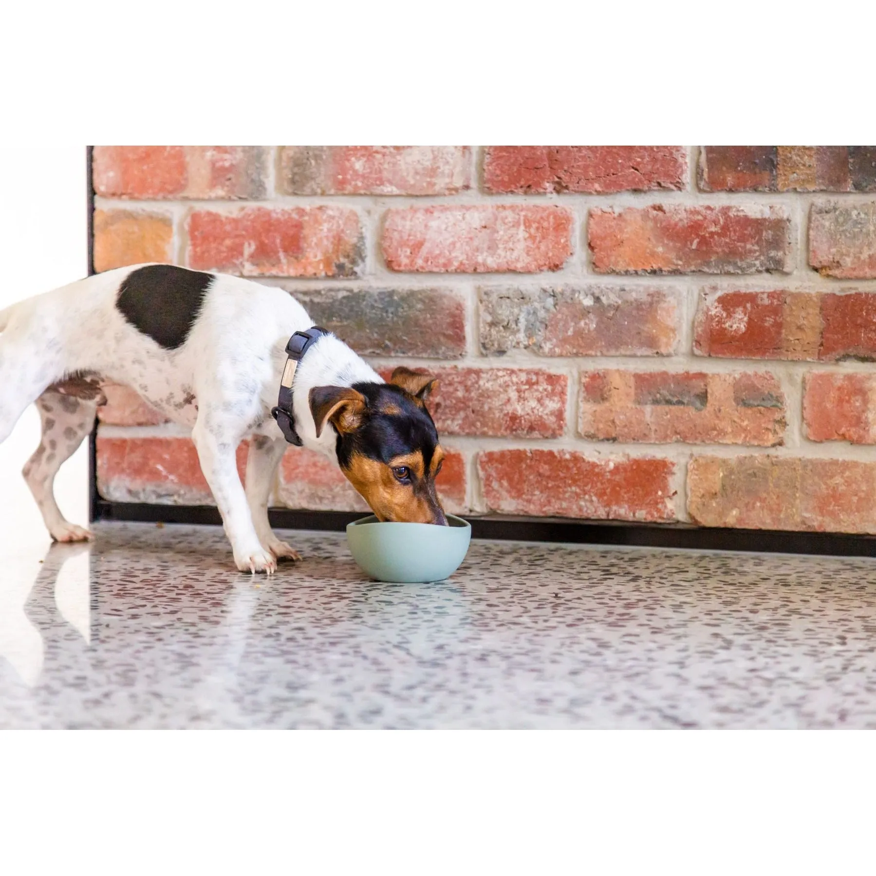 FuzzYard Life Silicone Dog Bowl Myrtle Green Medium^^^