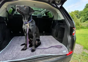 Henry Wag Noodle Highly absorbent Pet Mat
