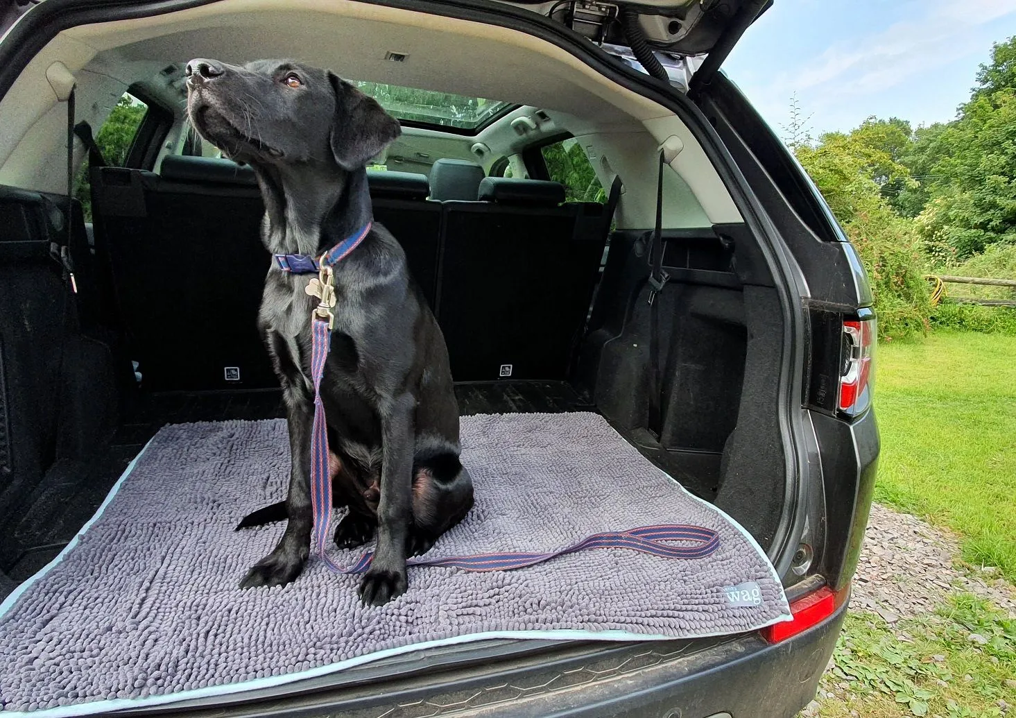 Henry Wag Noodle Highly absorbent Pet Mat