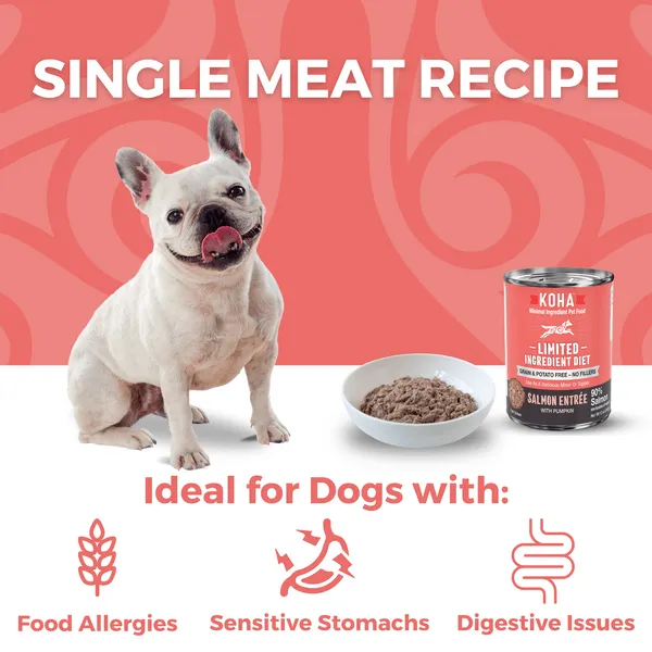 KOHA LID Salmon Entrée Canned Dog Food
