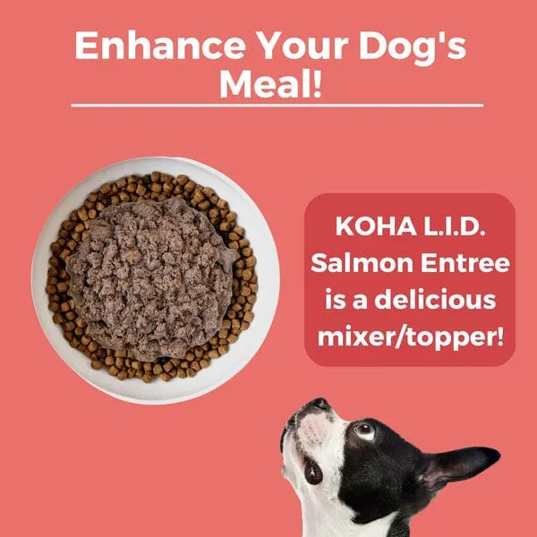 KOHA LID Salmon Entrée Canned Dog Food