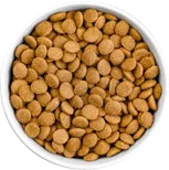KOHA Limited Ingredient Bland Diet Beef & Brown Rice Dog Food