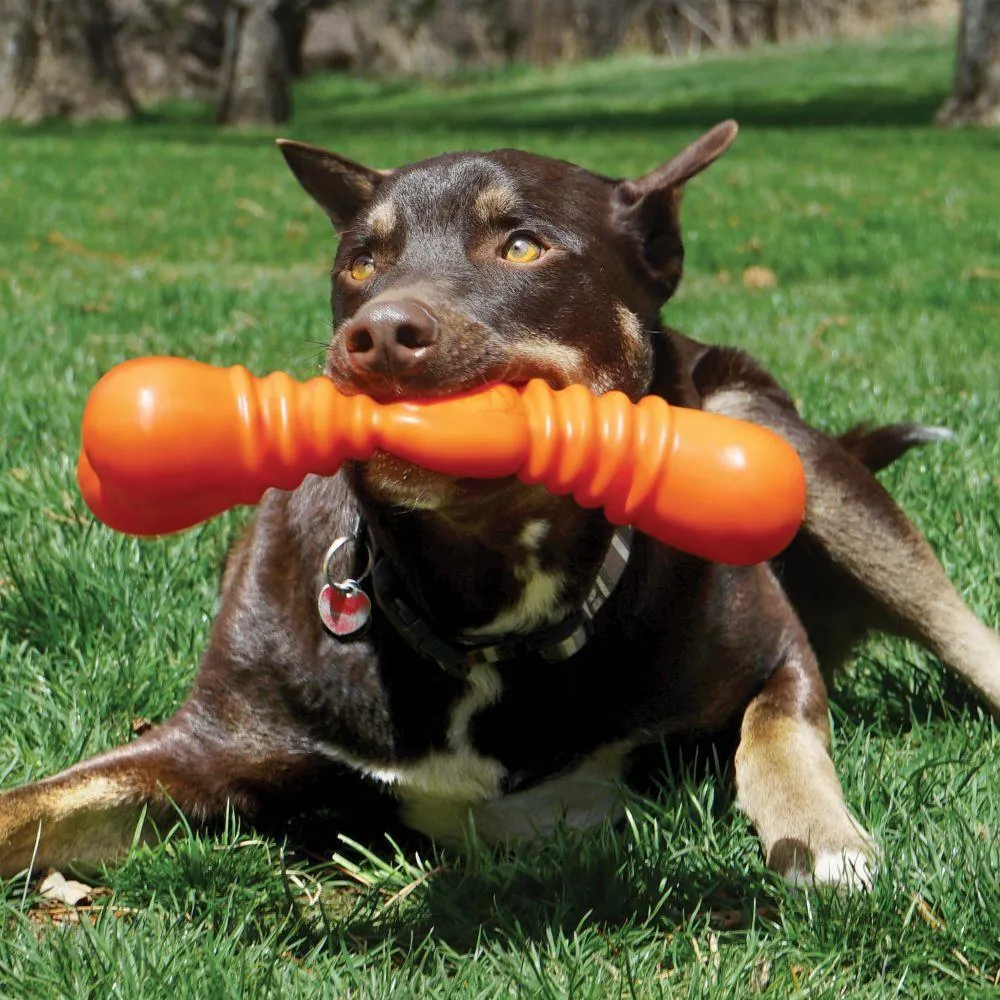 Kong SqueakStix Wigglers