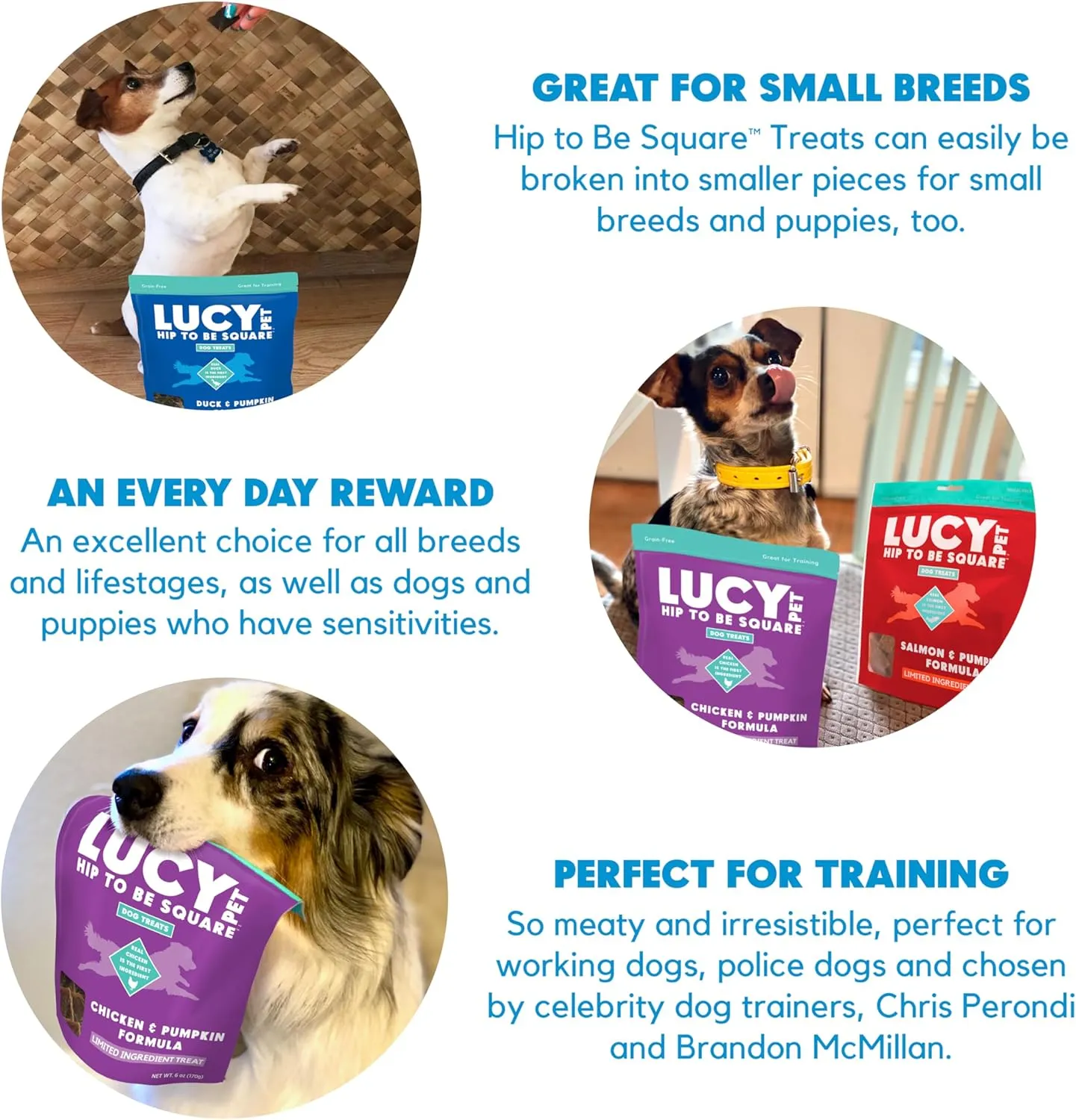 Lucy Pet Products Hip to Be Square Duck & Pumpkin Formula Dog Treats, 6-oz