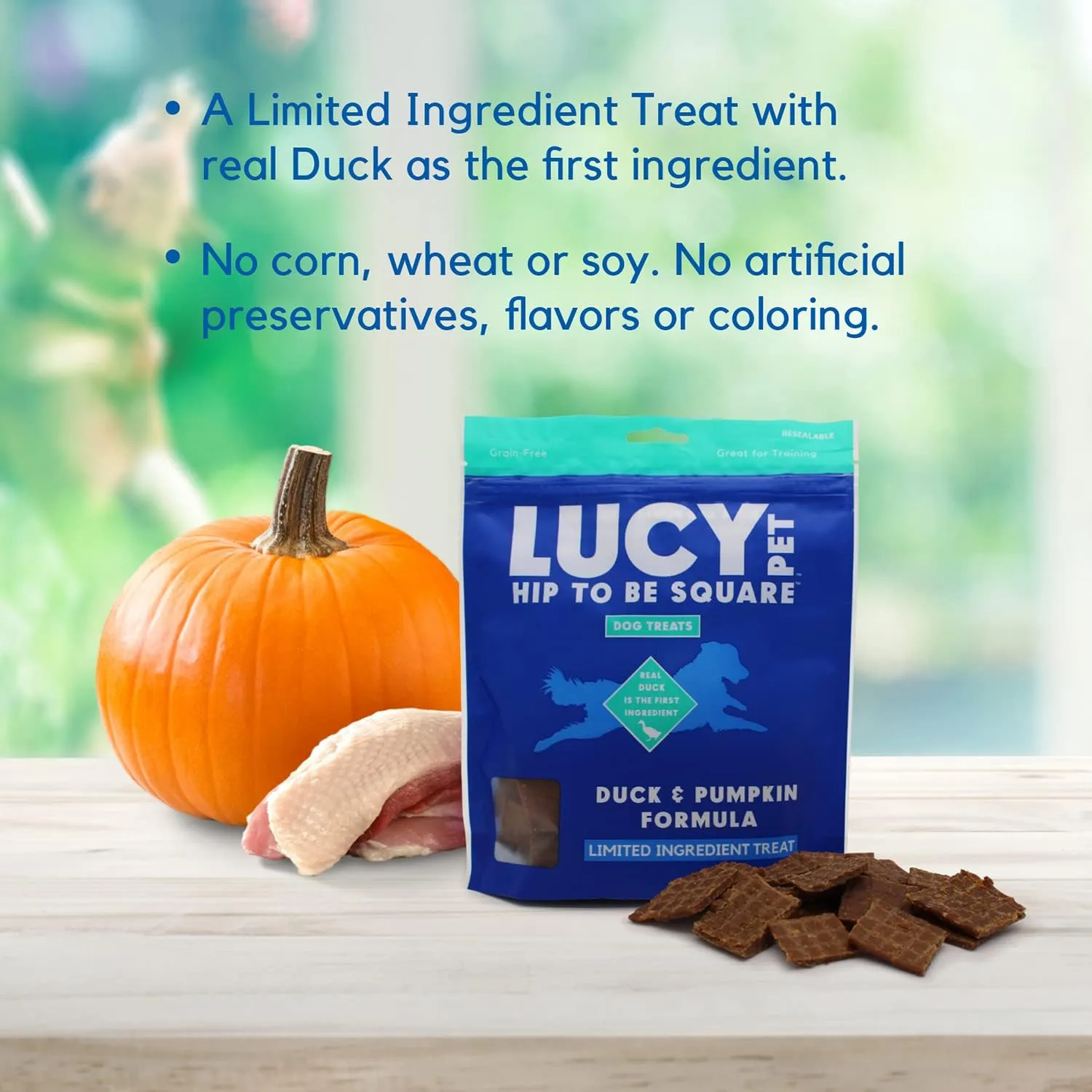 Lucy Pet Products Hip to Be Square Duck & Pumpkin Formula Dog Treats, 6-oz
