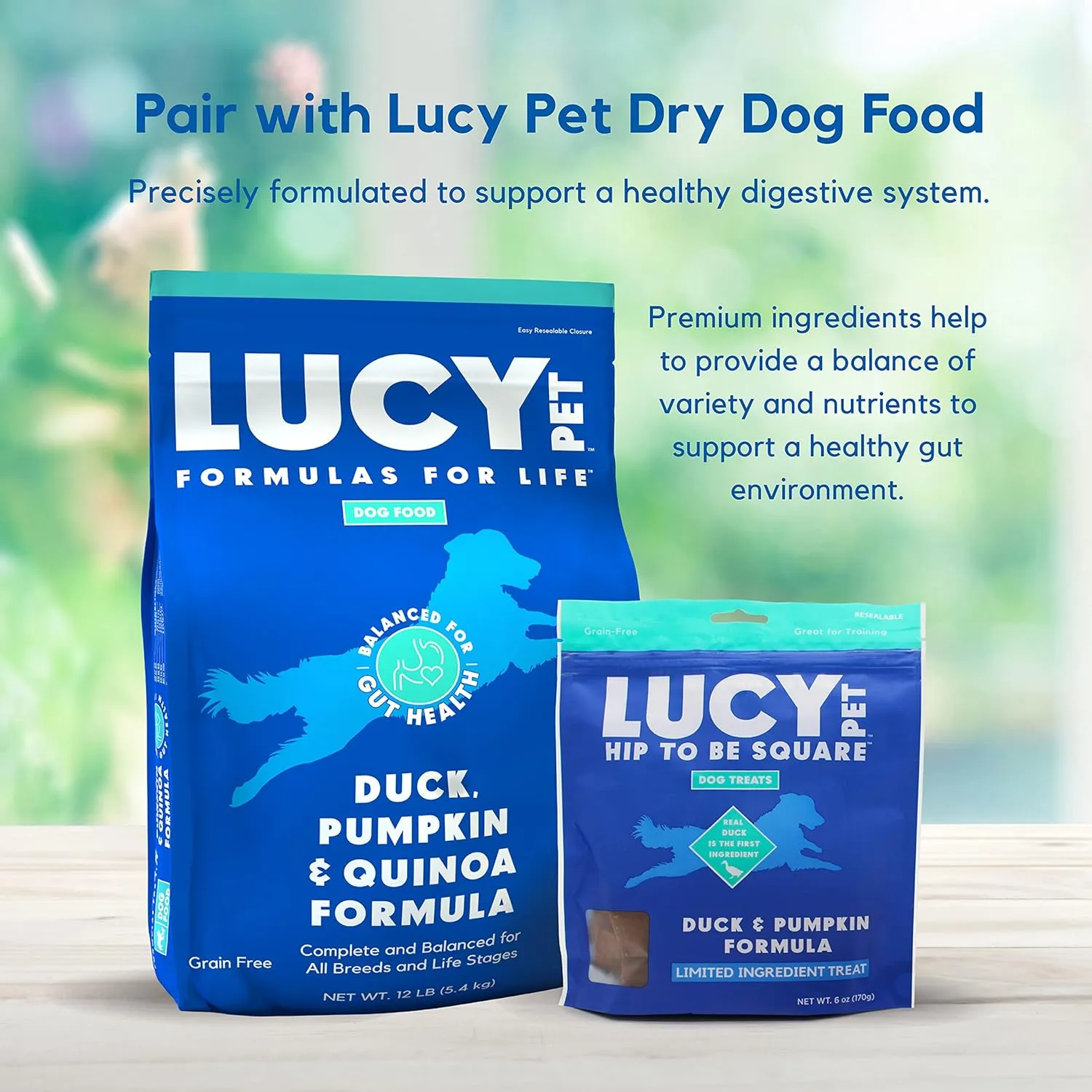 Lucy Pet Products Hip to Be Square Duck & Pumpkin Formula Dog Treats, 6-oz