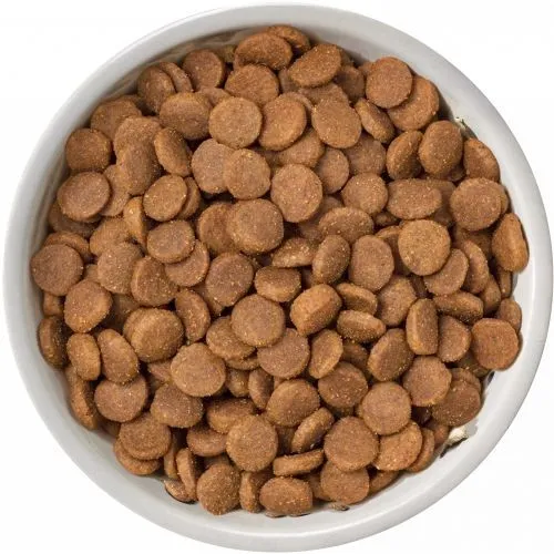Nature's Variety Selected Dry Junior Dog Food Free Range Chicken 600g