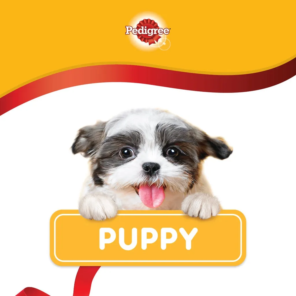 Pedigree Mini Puppy Milk NurtiDefense 1.3kg Dry Dog Food