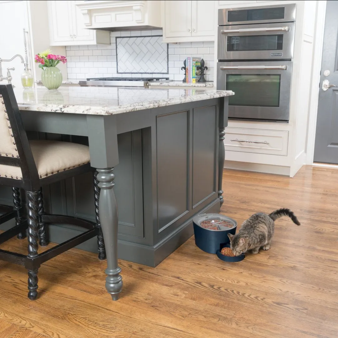 PetSafe Six Meal Feeder