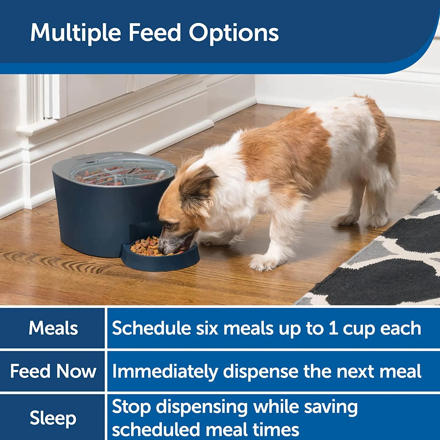 PetSafe Six Meal Feeder
