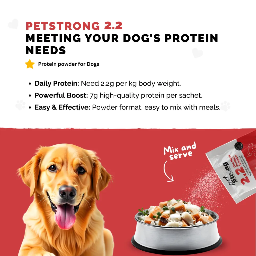 PetStrong 2.2  Meal Protein Booster for Dogs