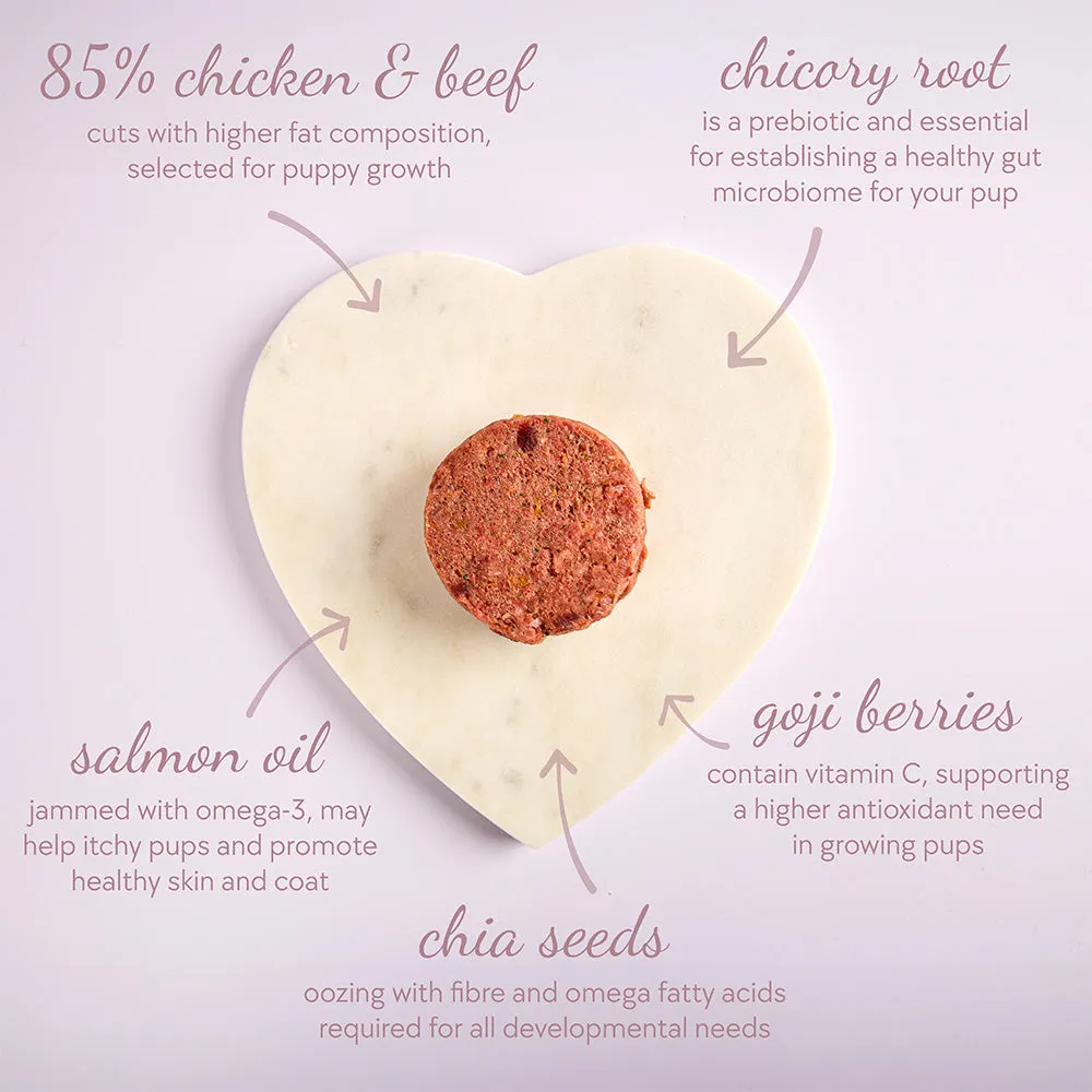 Puppy Starter Box, Patties (48 x 100g)