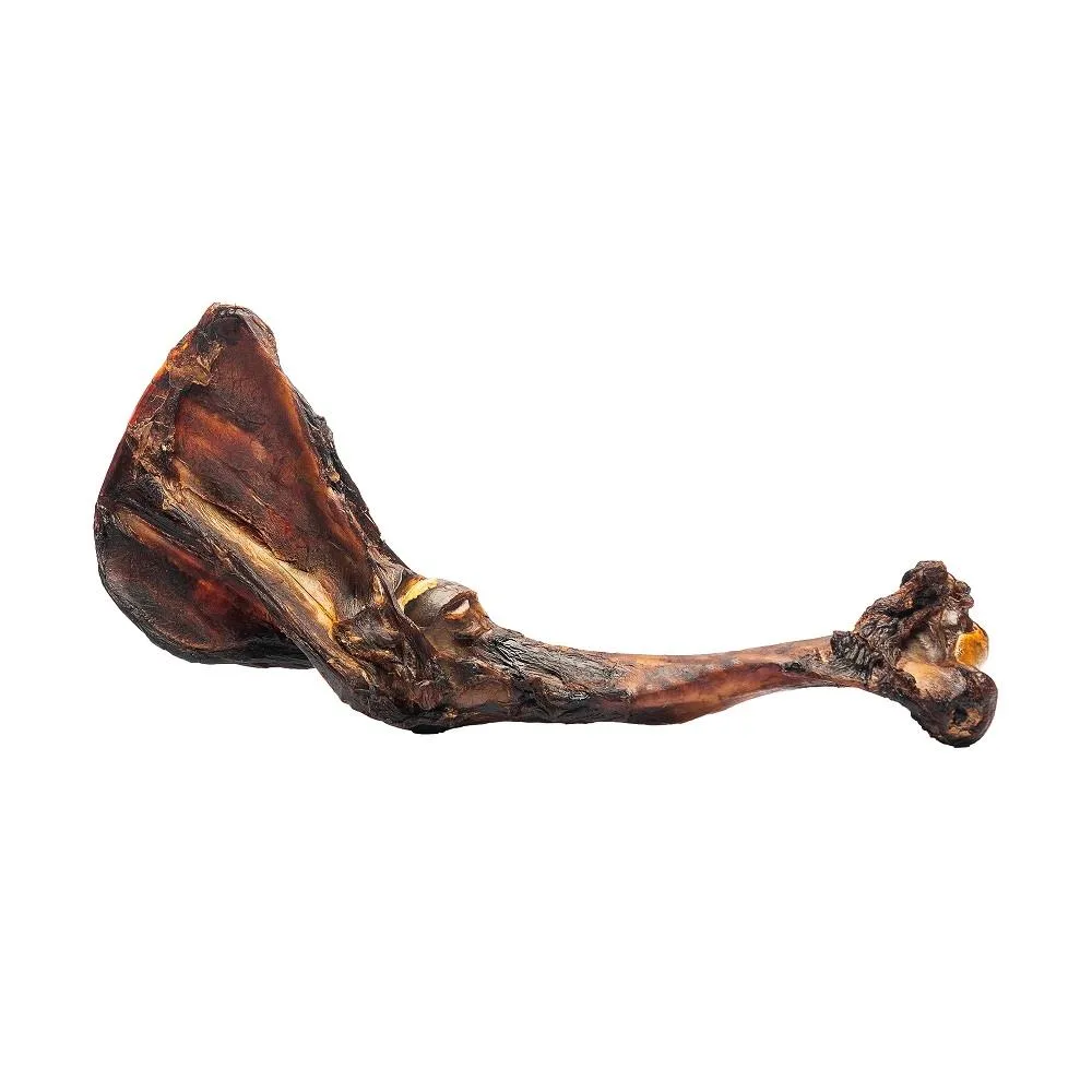 Roam Big Bondi Kangaroo Forearm 25g