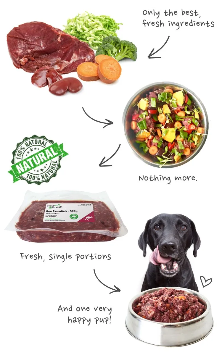 Roo Essentials Dog