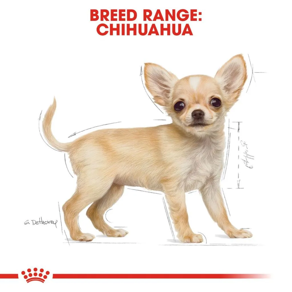 Royal Canin Chihuahua Puppy 500g Dry Dog Food - Breed Health Nutrition