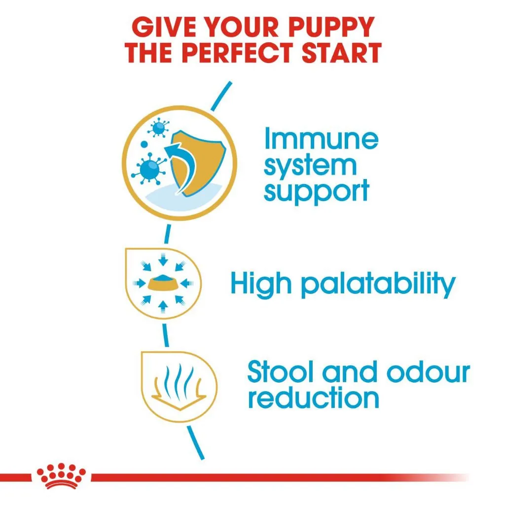 Royal Canin Chihuahua Puppy 500g Dry Dog Food - Breed Health Nutrition