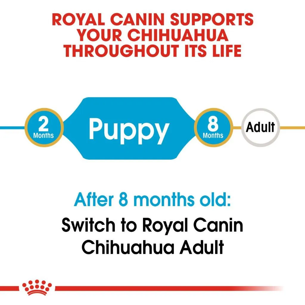 Royal Canin Chihuahua Puppy 500g Dry Dog Food - Breed Health Nutrition
