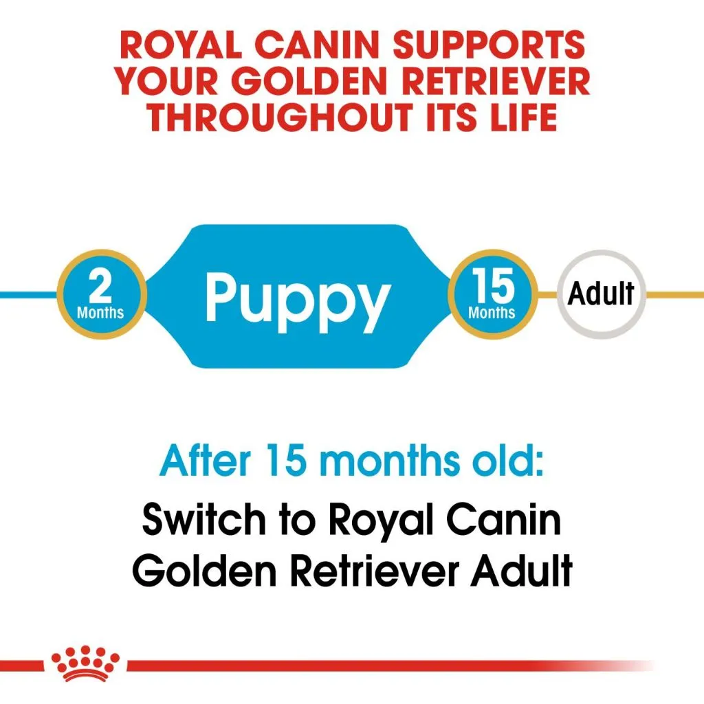 Royal Canin Golden Retriever Puppy 3kg Dry Dog Food - Breed Health Nutrition