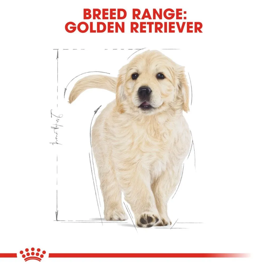 Royal Canin Golden Retriever Puppy 3kg Dry Dog Food - Breed Health Nutrition