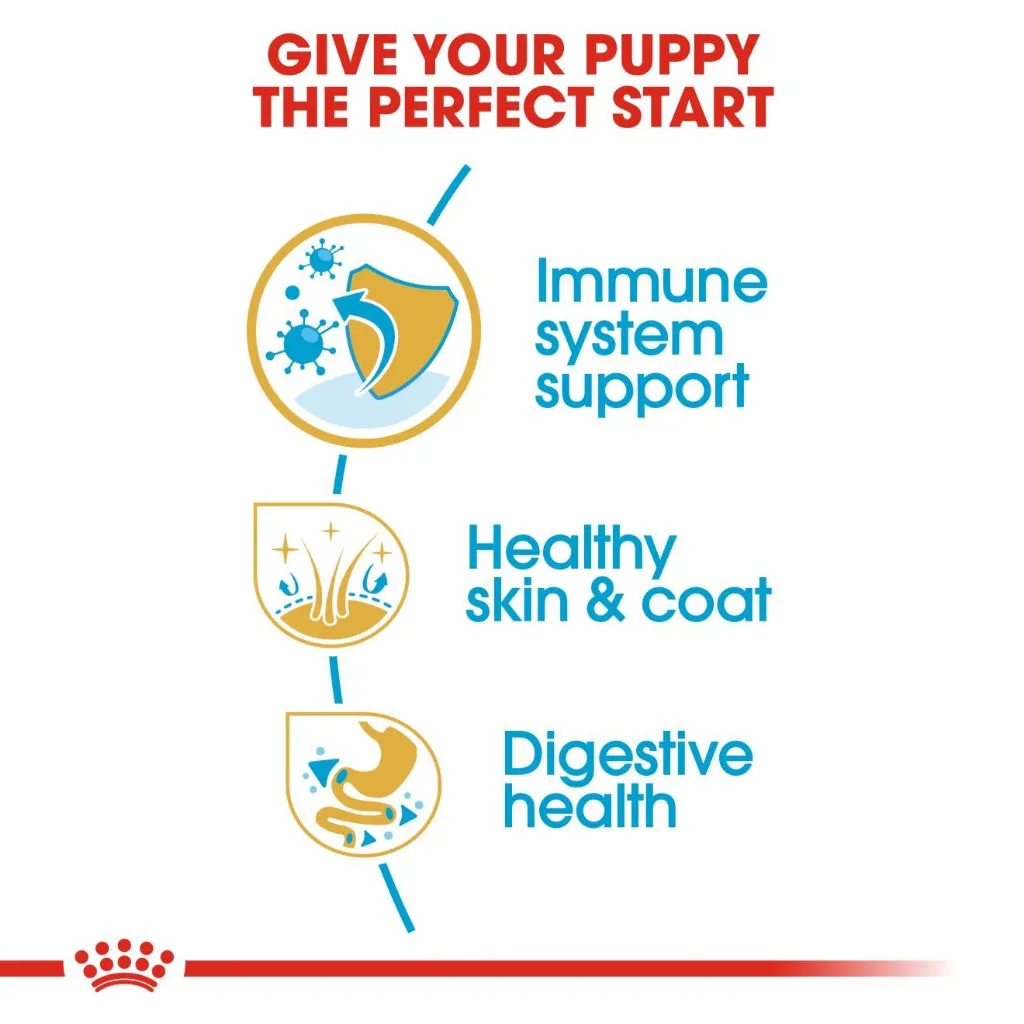 Royal Canin Golden Retriever Puppy 3kg Dry Dog Food - Breed Health Nutrition