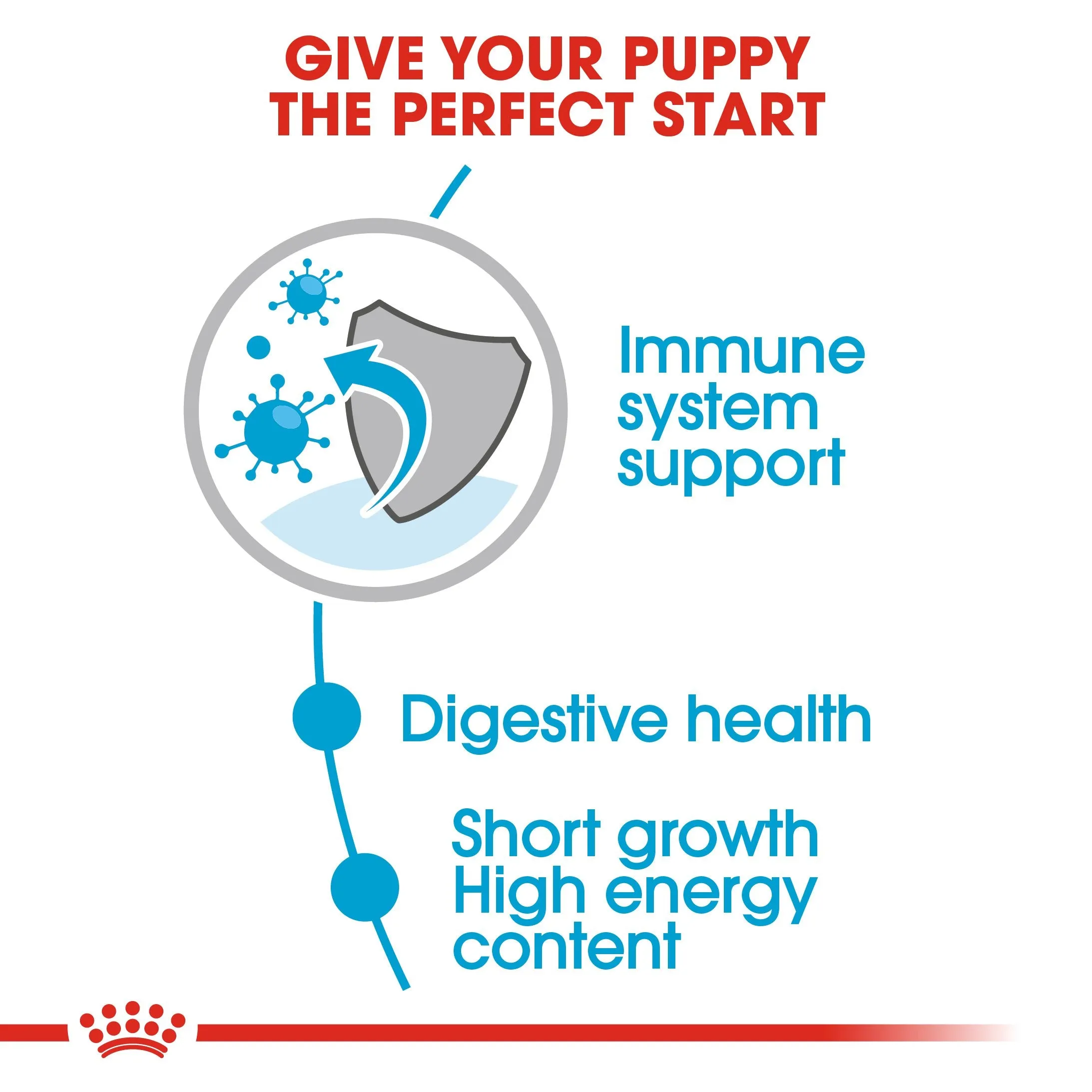 Royal Canin Medium Puppy in Gravy (140 gm\pouch) - wet food for medium dogs - adult weight from 11 to 25 KG. from 2 to 12 months