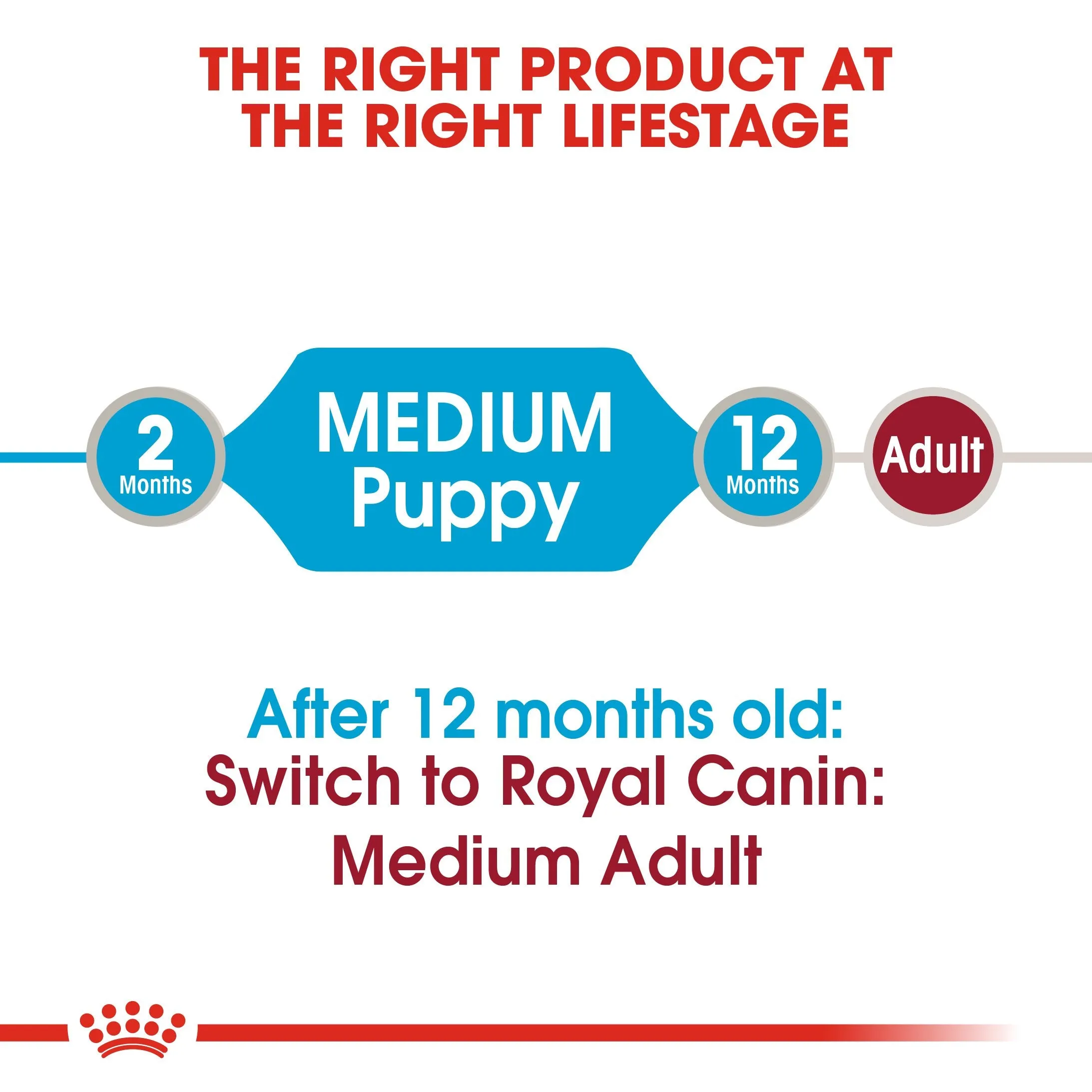 Royal Canin Medium Puppy in Gravy (140 gm\pouch) - wet food for medium dogs - adult weight from 11 to 25 KG. from 2 to 12 months