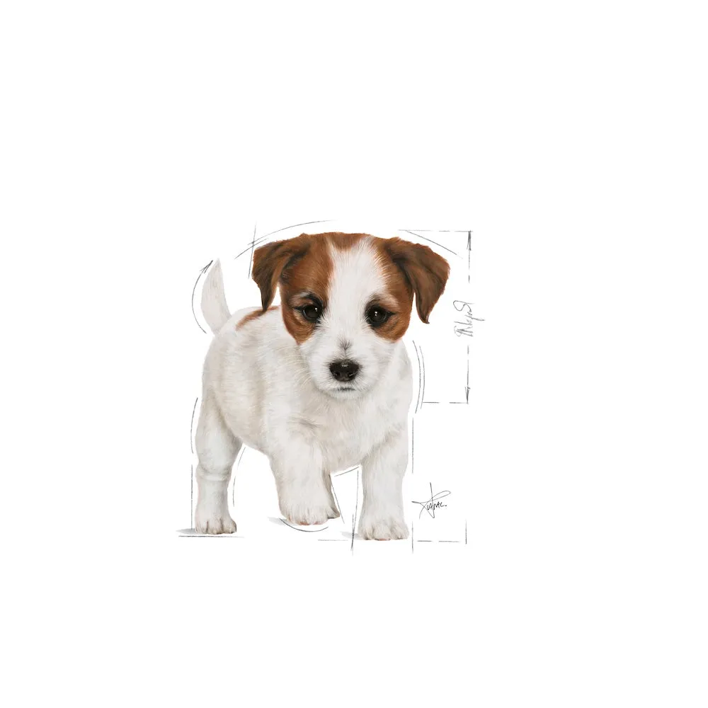 Royal Canin Mini Adult/Puppy Wet Dog Food SHN 85g 12 Pouches, Chunks/Loafs in Gravy