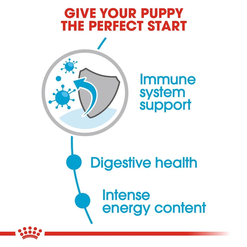 Royal Canin Mini Adult/Puppy Wet Dog Food SHN 85g 12 Pouches, Chunks/Loafs in Gravy