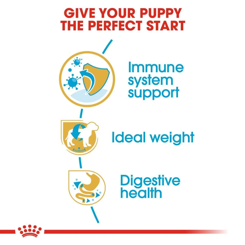 Royal Canin Miniature Schnauzer Puppy 1.5kg Dry Dog Food - Breed Health Nutrition