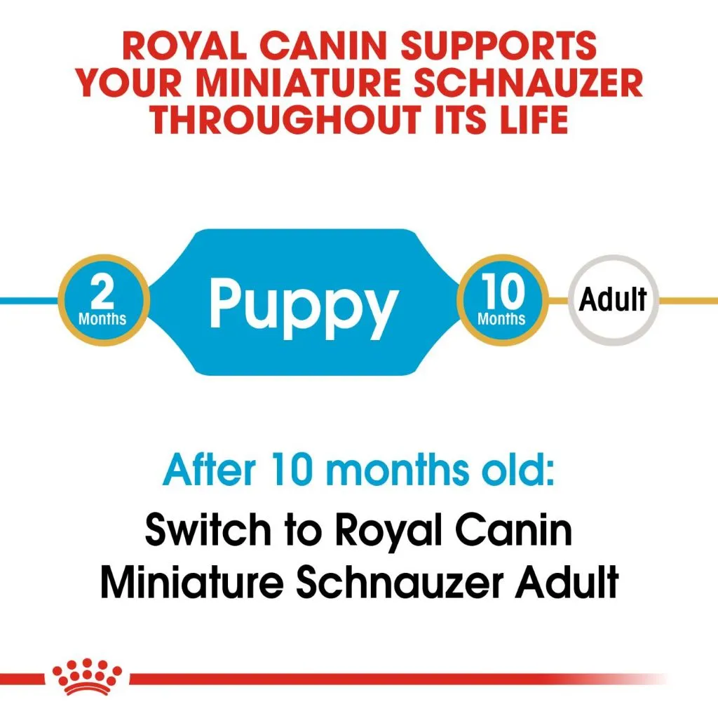 Royal Canin Miniature Schnauzer Puppy 1.5kg Dry Dog Food - Breed Health Nutrition