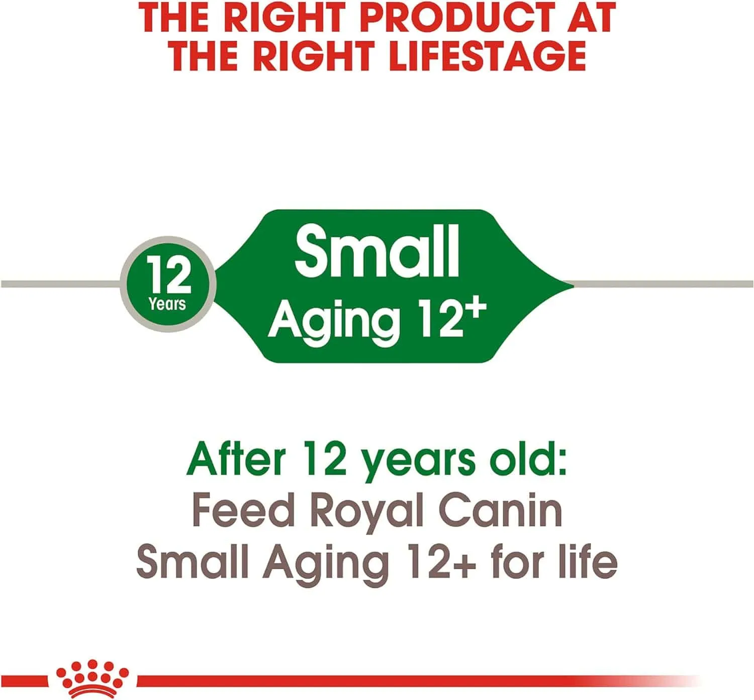 Royal Canin Small Aging 12  Dry Dog Food, 2.5lb