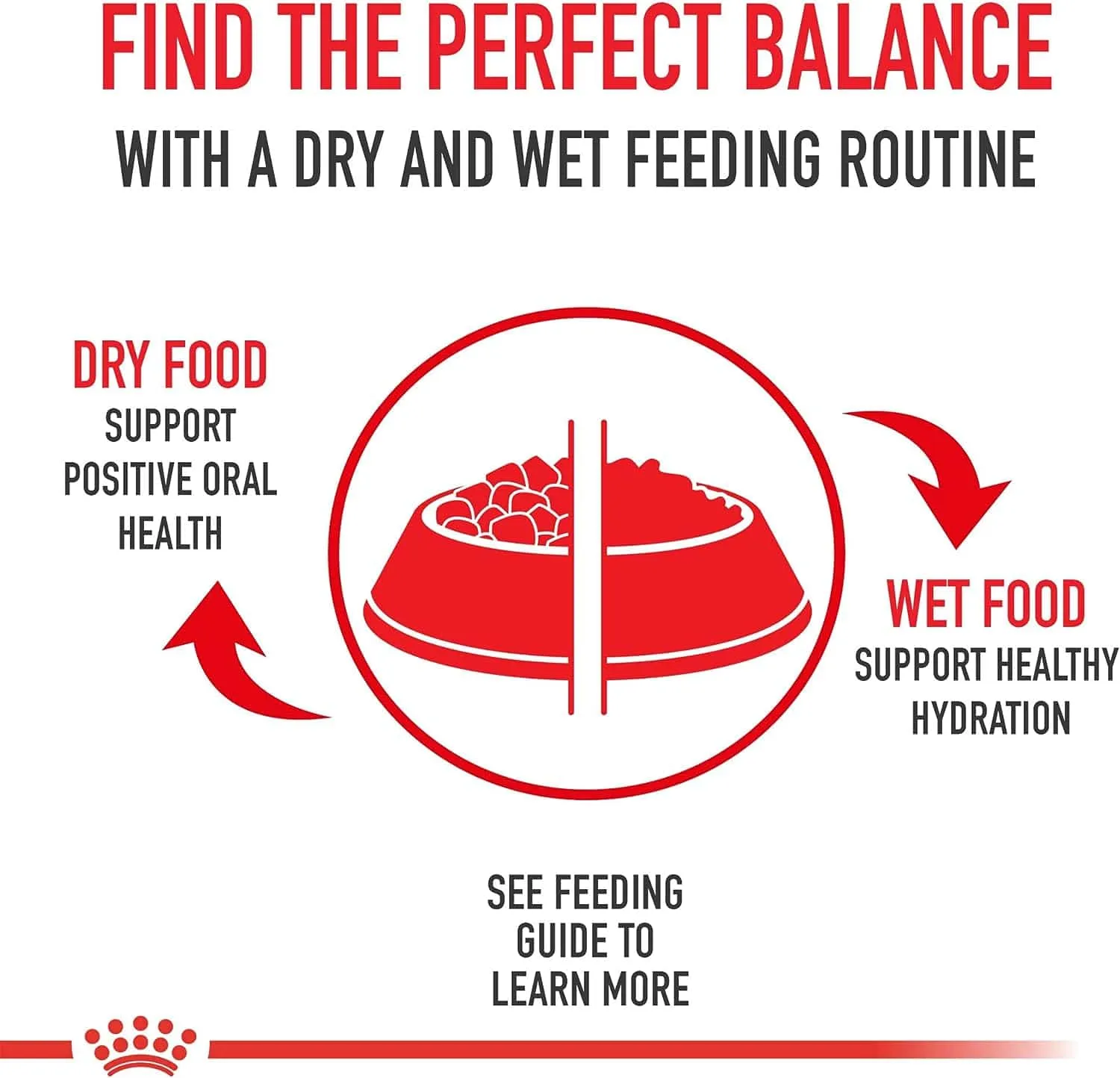 Royal Canin Small Aging 12  Dry Dog Food, 2.5lb