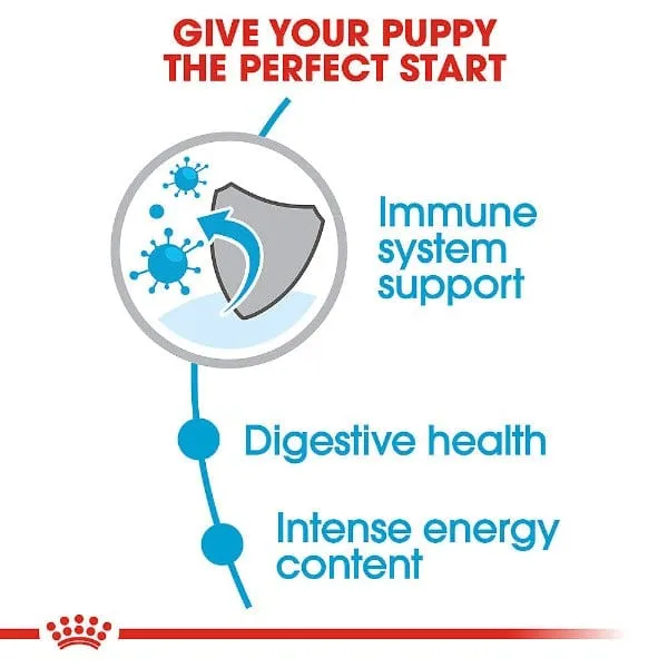 Royal Canin Small Puppy Dry Dog Food