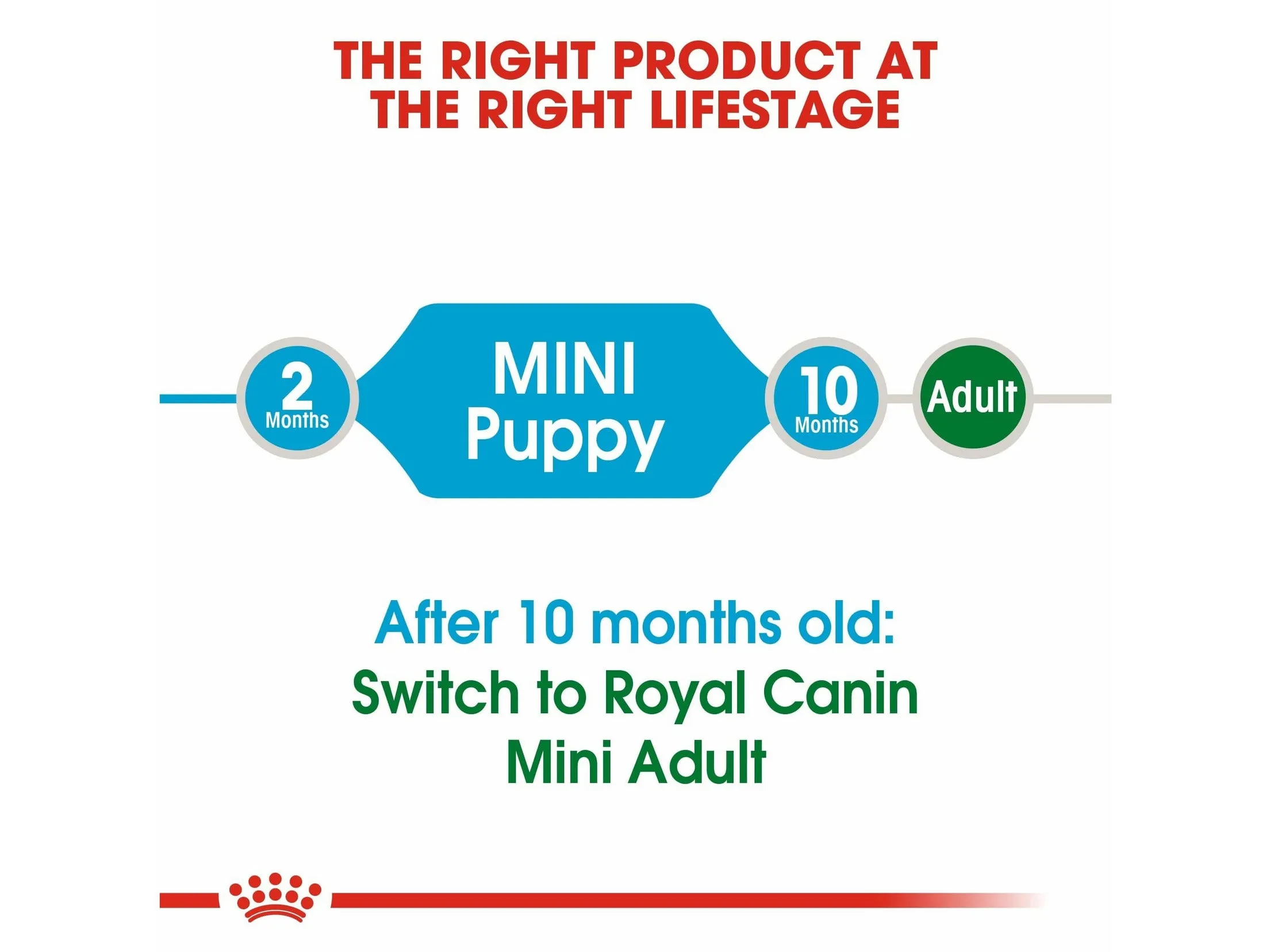 Size Health Nutrition Mini Puppy 800 g